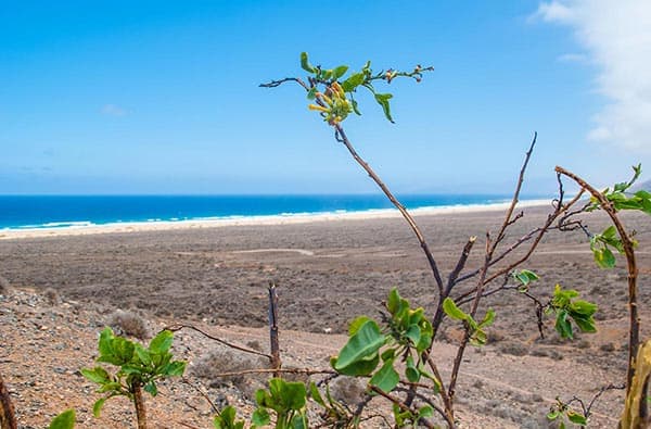 Fuerteventura Fotos › Landschaft › Idylle › Bild 34