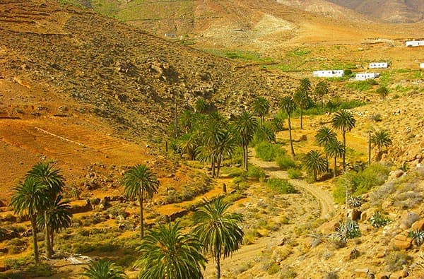 Fuerteventura Fotos › Landschaft › Taeler › Bild 9