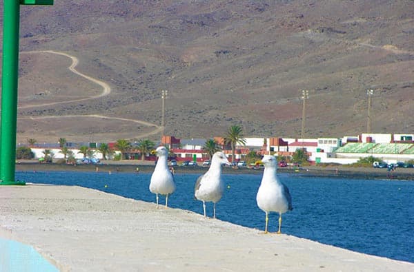 Bild Ortschaft Gran Tarajal, Fuerteventura