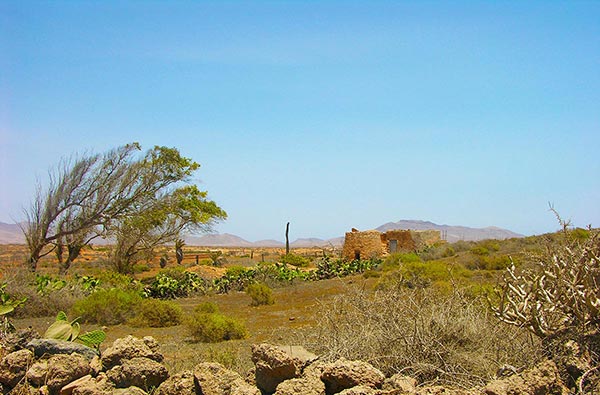 Fuerteventura Foto Landschaft Idylle 2