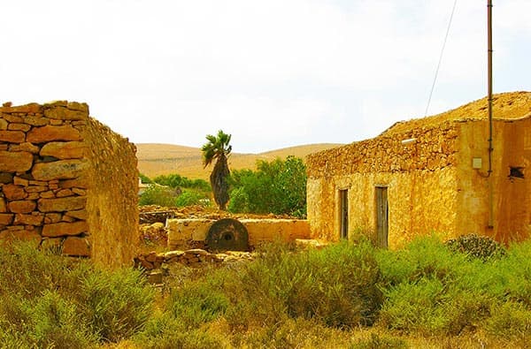 Fuerteventura Fotos › Landschaft › Idylle › Bild 11