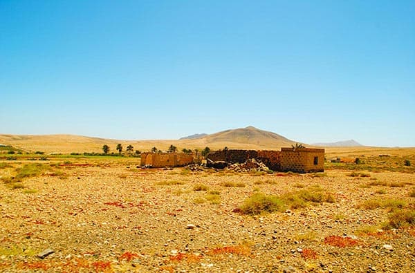 Fuerteventura Fotos › Landschaft › Idylle › Bild 22