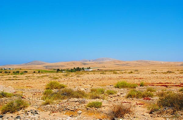 Fuerteventura Fotos › Landschaft › Idylle › Bild 23