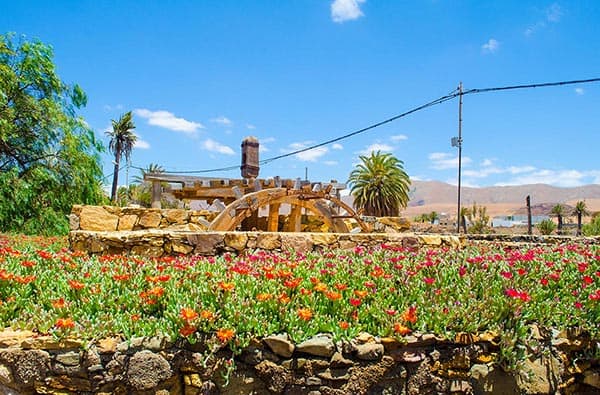 Fuerteventura Fotos › Landschaft › Idylle › Bild 26