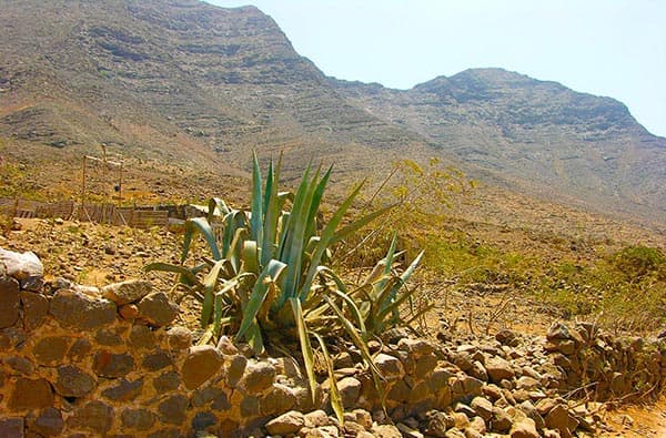 Fuerteventura Fotos › Landschaft › Idylle › Bild 3