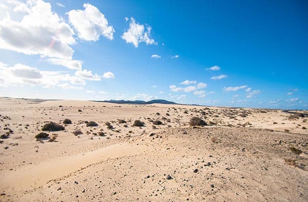 Fuerteventura Fotos › Landschaft › Idylle › Bild 41