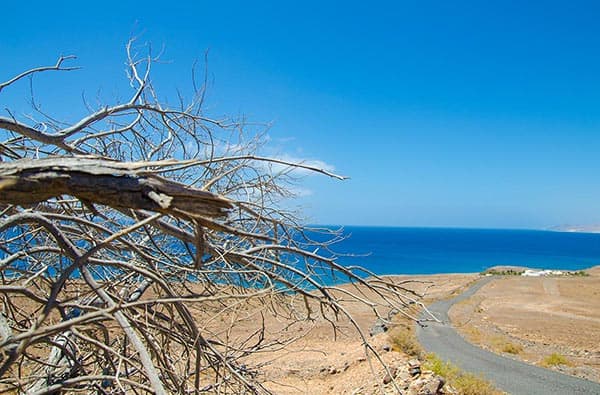 Fuerteventura Fotos › Landschaft › Idylle › Bild 42