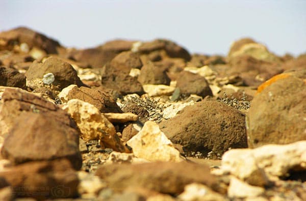 Bild Landschaft Steine, Fuerteventura