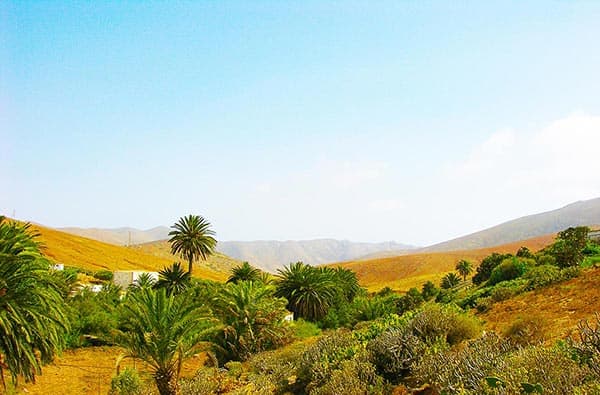 Fuerteventura Fotos › Landschaft › Taeler › Bild 3