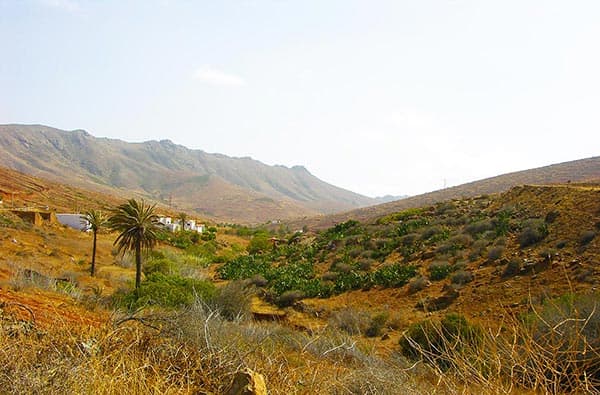 Fuerteventura Fotos › Landschaft › Taeler › Bild 4
