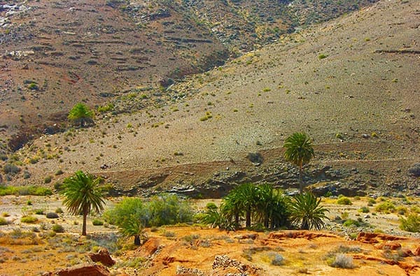 Fuerteventura Fotos › Landschaft › Taeler › Bild 5