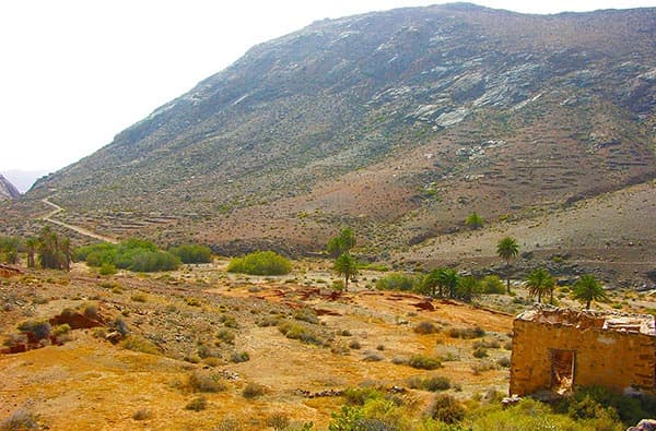 Bild Landschaft Taeler, Fuerteventura