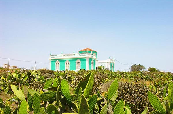 Fuerteventura Fotos › Ortschaft › Antigua › Bild 9