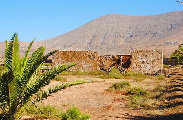 Fuerteventura Fotos › Ortschaft › La Oliva › Bild 14