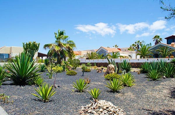 Fuerteventura Fotos › Ortschaft › La Pared › Bild 10
