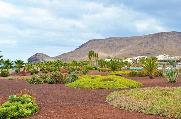 Fuerteventura Fotos › Ortschaft › Las Playitas › Bild 13