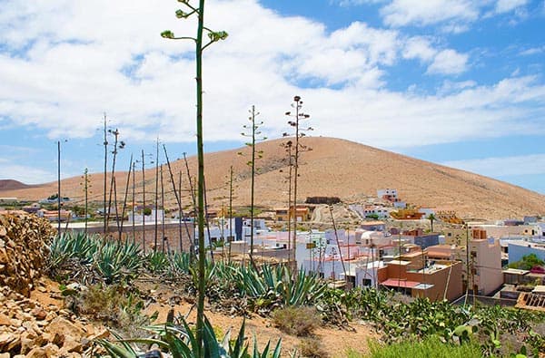 Fuerteventura Fotos › Ortschaft › Pajara › Bild 5