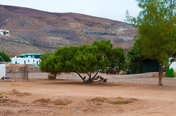 Fuerteventura Fotos › Ortschaft › Pozo Negro › Bild 11
