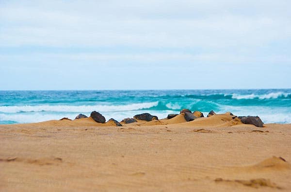 Fuerteventura Fotos › Strand › Cofete › Bild 5