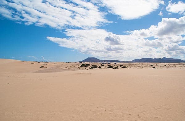 Fuerteventura Fotos › Strand › Corralejo › Bild 10
