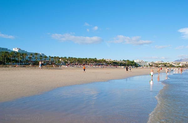 Fuerteventura Fotos › Strand › Costa Calma › Bild 9