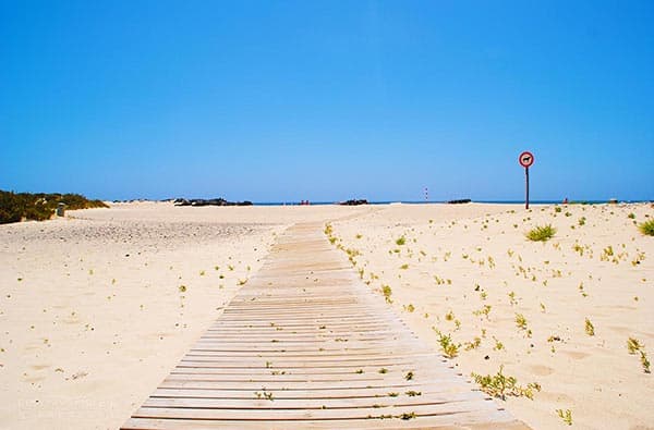 Fuerteventura Fotos › Strand › El Cotillo › Bild 17