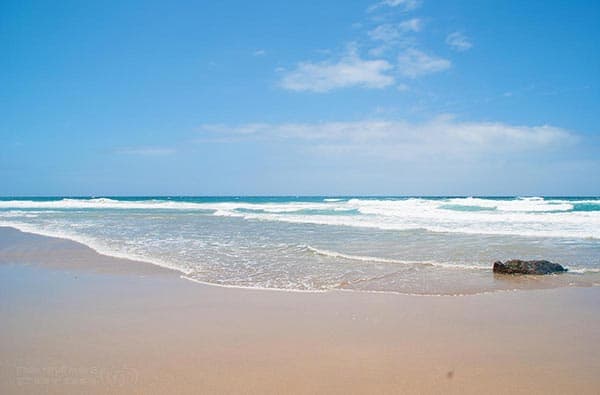 Fuerteventura Fotos › Strand › La Pared › Bild 10