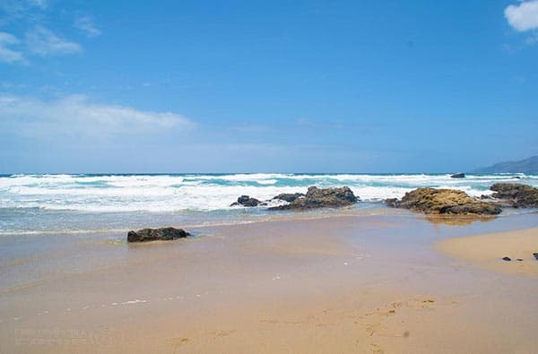 Fuerteventura Fotos › Strand › La Pared › Bild 12