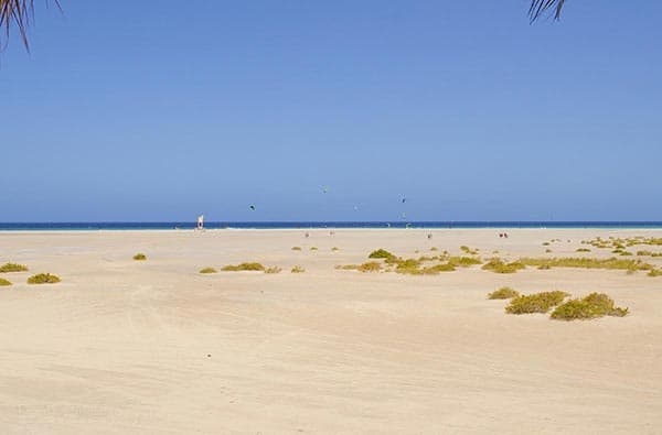 Bild Strand Sotavento, Fuerteventura
